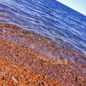 Meet your Posher, Zoey